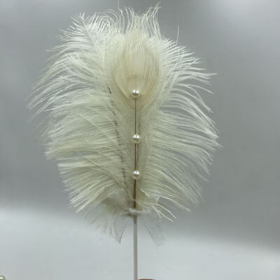 Natural Feather With Pearls Cake Topper For Birthday Party Valentines Day Anniversary
Natural Feather With Pearls Cake Topper For Birthday Party Valentines Day Anniversary