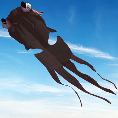 Tailored Huge Outdoor Fun Sports Single Line Software Goldfish Kite Animal Kites Flying
Tailored Huge Outdoor Fun Sports Single Line Software Goldfish Kite Animal Kites Flying