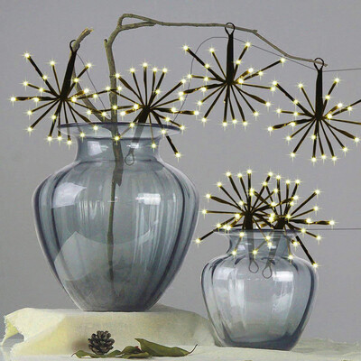 Tailored 65Ft 100LED Bouquet Shape Fireworks Decorative Lights Festival Decor EU Plug
Tailored 65Ft 100LED Bouquet Shape Fireworks Decorative Lights Festival Decor EU Plug