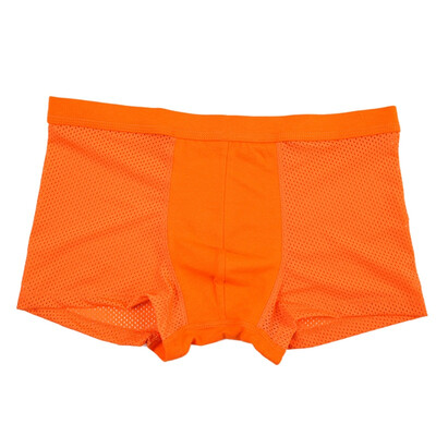 Breathable Mesh Design Underwear Fashion Comfortable Solid Color Mid-rise Mens Boxers
Breathable Mesh Design Underwear Fashion Comfortable Solid Color Mid-rise Mens Boxers
