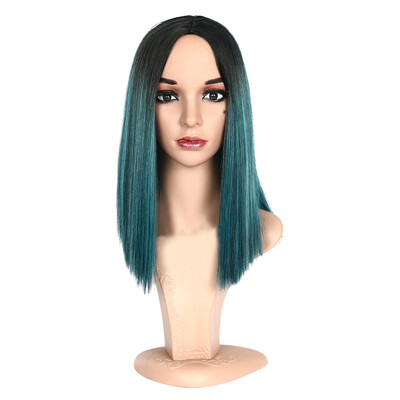 Gobestart Synthetic Hair 16 Inches Straight Hair Wig For Black Hair Women Synthetic Wig
Gobestart Synthetic Hair 16 Inches Straight Hair Wig For Black Hair Women Synthetic Wig