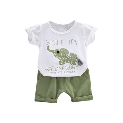 Summer children clothing sets cartoon toddler girls clothing sets toppant 2Pcssets kids casual boys clothes sport suits outfit
Summer children clothing sets cartoon toddler girls clothing sets toppant 2Pcssets kids casual boys clothes sport suits outfit
