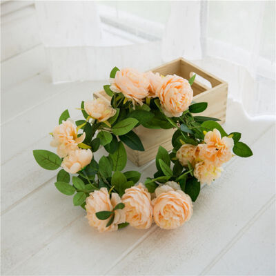 Artificial Simulation Rose Western Peony Buds Core Vine Rose Wedding Home Garden Decor Soft Vine Ivy Garland Silk Fake Flower
Artificial Simulation Rose Western Peony Buds Core Vine Rose Wedding Home Garden Decor Soft Vine Ivy Garland Silk Fake Flower