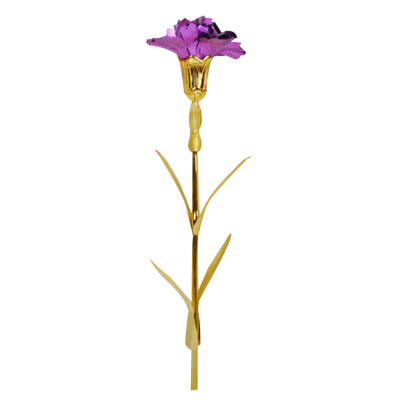 Gobestart Gold Foil Carnation Mothers Day Is The Best Choice For Moms Gift Birthday Gift
Gobestart Gold Foil Carnation Mothers Day Is The Best Choice For Moms Gift Birthday Gift
