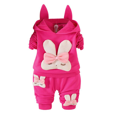 Autumn Baby Long Sleeve Clothes Set Baby Girl Cute Rabbit Pattern Long Sleeve Suit Children Casual Clothing
Autumn Baby Long Sleeve Clothes Set Baby Girl Cute Rabbit Pattern Long Sleeve Suit Children Casual Clothing
