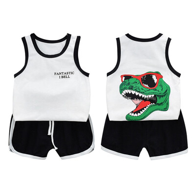 Baby Boy Clothes Summer Baby Boys Casual Sleeveless Dinosaur Print Vest T-shirt TopsShorts Costume Set 0-5T
Baby Boy Clothes Summer Baby Boys Casual Sleeveless Dinosaur Print Vest T-shirt TopsShorts Costume Set 0-5T