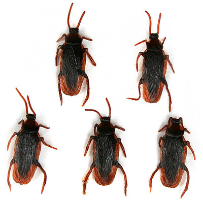 Plastic Artificial Cockroach Realistic Prank Trick Toy for Fools Day Halloween Party 5pcs
Plastic Artificial Cockroach Realistic Prank Trick Toy for Fools Day Halloween Party 5pcs