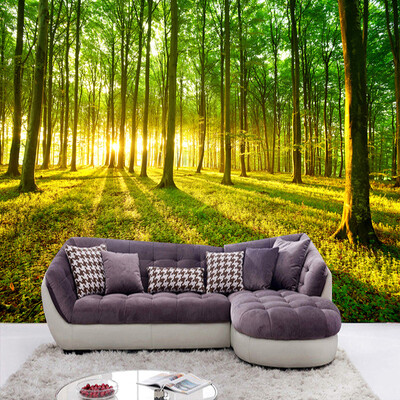 Photo Wallpaper Modern 3D Stereo Forest Sunshine Nature Scenery Photo Wall Murals Living Room TV Sofa Backdrop Wall Home Decor
Photo Wallpaper Modern 3D Stereo Forest Sunshine Nature Scenery Photo Wall Murals Living Room TV Sofa Backdrop Wall Home Decor