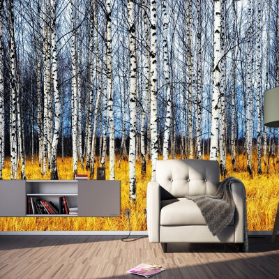 Photo wallpaper beautiful autumn dream birch wood corridor aisle stereo living room lobby bathroom wallpaper mural
Photo wallpaper beautiful autumn dream birch wood corridor aisle stereo living room lobby bathroom wallpaper mural