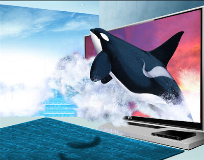 Custom photo wallpaper Orca 3D seascape cartoon children room living room bedroom sofa TV background wall mural wallpaper
Custom photo wallpaper Orca 3D seascape cartoon children room living room bedroom sofa TV background wall mural wallpaper