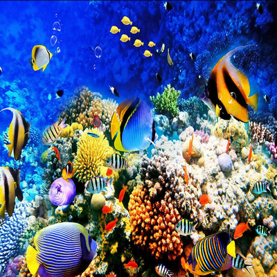Free Shipping Underwater World Tropical Fish flooring painting store restaurant decoration self-adhesive floor mural 250cmx200cm
Free Shipping Underwater World Tropical Fish flooring painting store restaurant decoration self-adhesive floor mural 250cmx200cm