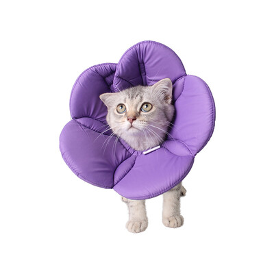 Pet Collar Elizabethan Collars Recovery Pet Cone for Cats&Small Dogs Breathable Soft Edge&Easy to Clean
Pet Collar Elizabethan Collars Recovery Pet Cone for Cats&Small Dogs Breathable Soft Edge&Easy to Clean