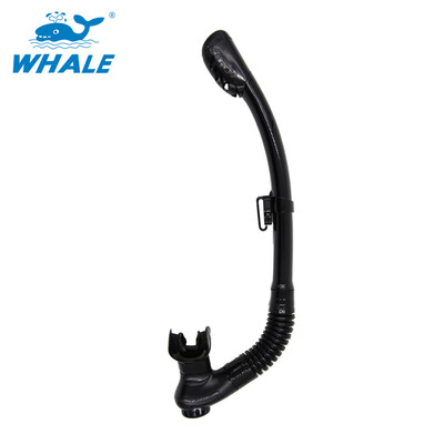 Whale aquatics Silicone Snorkel Premium Ultra Flexible Free diving Swimming Diving Breathing Tube
Whale aquatics Silicone Snorkel Premium Ultra Flexible Free diving Swimming Diving Breathing Tube