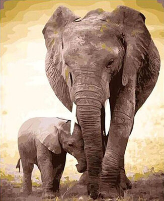 Animals Elephants Oil Painting Diy Paint by Numbers Kits for Adults&Beginners - Big Elephant&Small Elephant
Animals Elephants Oil Painting Diy Paint by Numbers Kits for Adults&Beginners - Big Elephant&Small Elephant