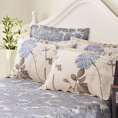 Sheng Wei bed products cotton pillow sets of cotton pillow sets of single loaded 48 * 74cm small beetles blue
Sheng Wei bed products cotton pillow sets of cotton pillow sets of single loaded 48 * 74cm small beetles blue