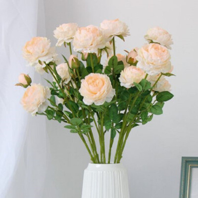 5pcs 3Heads Artificial Flowers Peony Bouquet Silk Flowers Bridal Bouquet Fall Vivid Fake Rose for Wedding Home Party Decor
5pcs 3Heads Artificial Flowers Peony Bouquet Silk Flowers Bridal Bouquet Fall Vivid Fake Rose for Wedding Home Party Decor