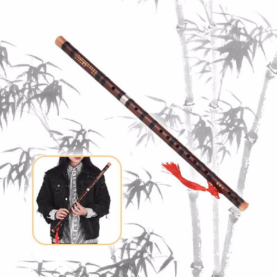 G Key Chinese Traditional Instrument Dizi Bitter Bamboo Flute with Chinese Knot for Beginners
G Key Chinese Traditional Instrument Dizi Bitter Bamboo Flute with Chinese Knot for Beginners