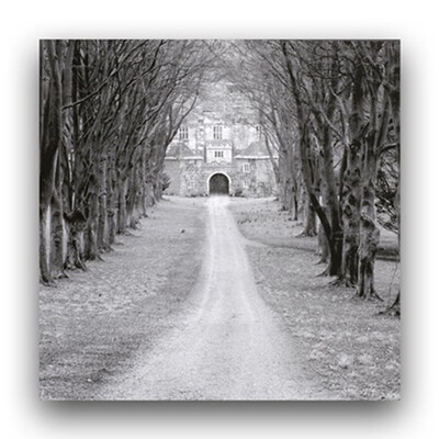 Modular HD Print Artwork Landscape Home Decor Fashion Canvas painting Picture On Wall For Living Room
Modular HD Print Artwork Landscape Home Decor Fashion Canvas painting Picture On Wall For Living Room
