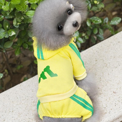 Winter Warm Pet Dog Clothes Wear Jacket Cotton Small Pet Dog Clothes for Dog Jumpsuit Coat Clothing For Dogs Sportswear Hoodie
Winter Warm Pet Dog Clothes Wear Jacket Cotton Small Pet Dog Clothes for Dog Jumpsuit Coat Clothing For Dogs Sportswear Hoodie