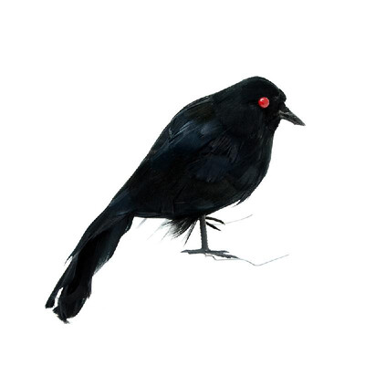 Realistic Looking Birds Black Feathered Crows Halloween Decoration Artificial Crow Prop Decor Simulation Corbie
Realistic Looking Birds Black Feathered Crows Halloween Decoration Artificial Crow Prop Decor Simulation Corbie