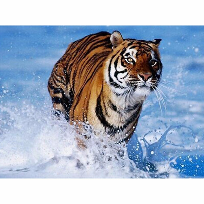 diy Diamond embroidery decoration 7d diamond painting cross stitchti tiger vase Mosaic rhinestone pasted pattern gift
diy Diamond embroidery decoration 7d diamond painting cross stitchti tiger vase Mosaic rhinestone pasted pattern gift