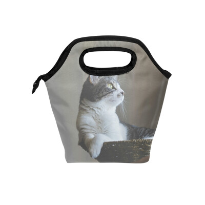 Lunch Bag Leisurely Cat Tote Travel Picnic Insulated Handbags Portable Zipper Lunch Bag Box
Lunch Bag Leisurely Cat Tote Travel Picnic Insulated Handbags Portable Zipper Lunch Bag Box