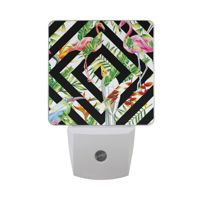 ALAZA LED Night Light With Smart Dusk To Dawn SensorExotic Peacock Watercolor Plug In Night Light
ALAZA LED Night Light With Smart Dusk To Dawn SensorExotic Peacock Watercolor Plug In Night Light