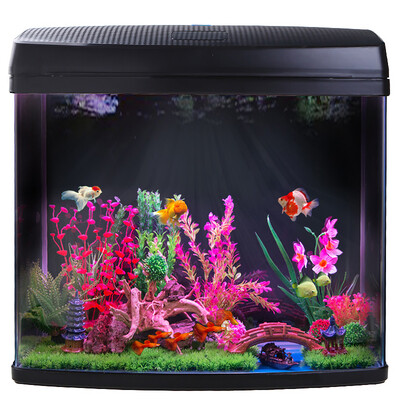 Fish treasure small mini gold fish tank free water high-definition glass eco-creative LED lights aquarium aquarium BXA-48 black
Fish treasure small mini gold fish tank free water high-definition glass eco-creative LED lights aquarium aquarium BXA-48 black