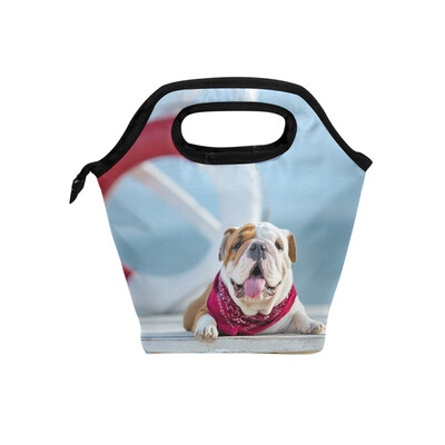 Lunch Bag Tote Bag Loose Pulley Dog Travel Picnic Organizer Lunch Holder Handbags Lunch Bag Box for Office
Lunch Bag Tote Bag Loose Pulley Dog Travel Picnic Organizer Lunch Holder Handbags Lunch Bag Box for Office