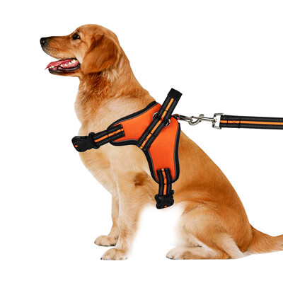 Dream Bubble Pet Chest Strap Dog Pulling Large&Medium Dogs Dog Chain Chest Strap Collar Leash Dog Dog Rope Dog
Dream Bubble Pet Chest Strap Dog Pulling Large&Medium Dogs Dog Chain Chest Strap Collar Leash Dog Dog Rope Dog