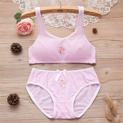 LAXJOY Langyue 2018 sexy small chest tube top girl bra cotton comfortable no steel ring student underwear panty suit anti-light LNWX189407 pink X2 3680
LAXJOY Langyue 2018 sexy small chest tube top girl bra cotton comfortable no steel ring student underwear panty suit anti-light LNWX189407 pink X2 3680