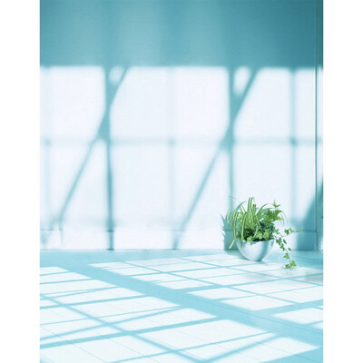 Boring Morning Photo Backdrop 57FT Vinyl Fabric Cloth Digital Printing Photo Background s-2346
Boring Morning Photo Backdrop 57FT Vinyl Fabric Cloth Digital Printing Photo Background s-2346