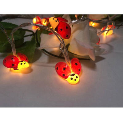 Solar Powered 12LED Butterfly Fairy String Light Lamp Outdoor Garden Decoration
Solar Powered 12LED Butterfly Fairy String Light Lamp Outdoor Garden Decoration