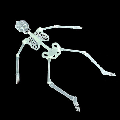 MyMei 2016 New Hot Luminous Movable Skull Skeleton Halloween Props Party Bars Wall House Decoration Glow In The Dark Hanging Decor
MyMei 2016 New Hot Luminous Movable Skull Skeleton Halloween Props Party Bars Wall House Decoration Glow In The Dark Hanging Decor