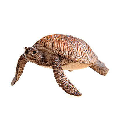 Si Le Schleich Немецкий бренд игрушки ручной работы цвет краски морской дикой природы моделирование модели животных дети головоломки ранние учебные пособия - черепаха SCHC14695
Si Le Schleich Немецкий бренд игрушки ручной работы цвет краски морской дикой природы моделирование модели животных дети головоломки ранние учебные пособия - черепаха SCHC14695