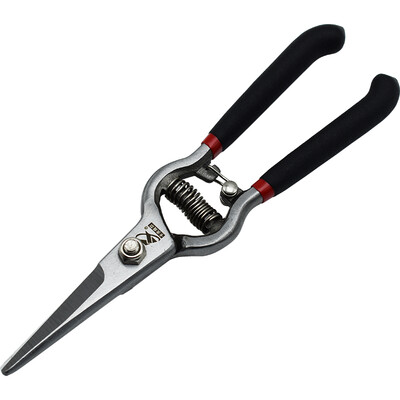 Kraft Weir 8 inch forged grape shears garden shears pruning shears fine branches shears gardening scissors SN4007
Kraft Weir 8 inch forged grape shears garden shears pruning shears fine branches shears gardening scissors SN4007