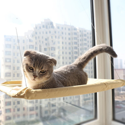 Hanhan Paradise Sun Cat Hammock Summer sucker-style hanging nest bed cat nest cat hammock swing cat mat pet supplies 55 35CM cat pad can be removable
Hanhan Paradise Sun Cat Hammock Summer sucker-style hanging nest bed cat nest cat hammock swing cat mat pet supplies 55 35CM cat pad can be removable
