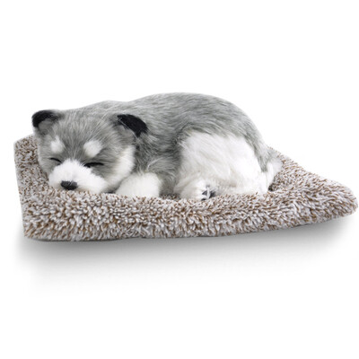 Plush toys simulation dog & cat Vehicle Decoration Baby Sleeping Appease Doll Kids Birthday Gifts
Plush toys simulation dog & cat Vehicle Decoration Baby Sleeping Appease Doll Kids Birthday Gifts