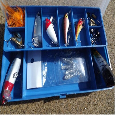 Special Mino chubby soft bug Bo Ba Lei frog lead hook road bait set Road sub-box bait
Special Mino chubby soft bug Bo Ba Lei frog lead hook road bait set Road sub-box bait