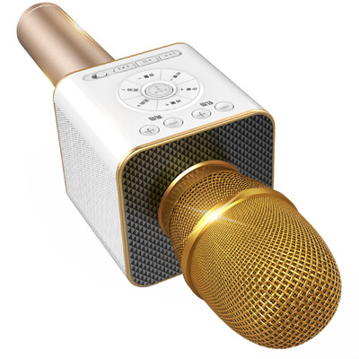 Tucson 04 mobile phone microphone K song sing it all K song Bluetooth wireless microphone anchor live microphone dedicated champagne gold
Tucson 04 mobile phone microphone K song sing it all K song Bluetooth wireless microphone anchor live microphone dedicated champagne gold