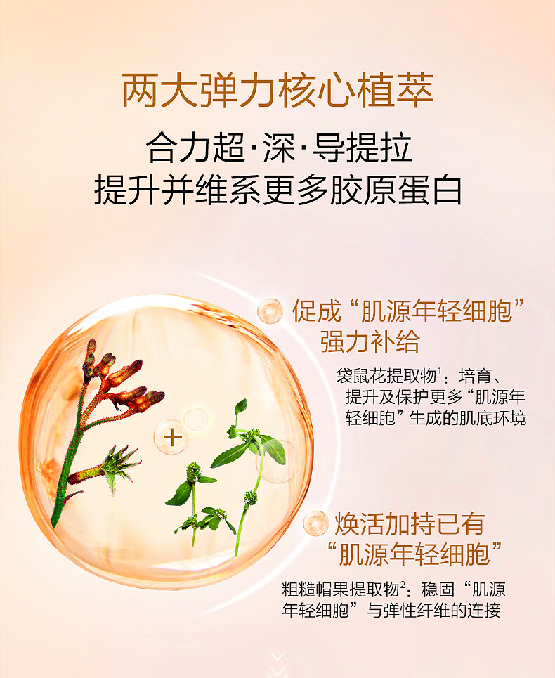娇韵诗（CLARINS）焕颜弹力霜沁润奇肌保湿乳霜补水高保湿面霜抗皱提拉紧致 「混合肌推荐」弹簧晚霜 50ml