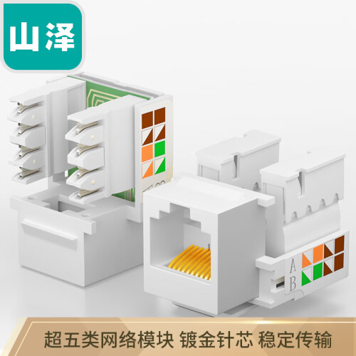 山泽（SAMZHE）超五类网络模块 RJ-45电脑网线插座 超5类8P8C水晶头母座 WAN-04