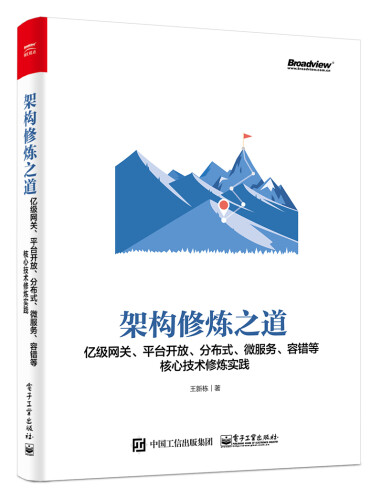 架构修炼之道：亿级网关、平台开放、分布式、微服务、容错等核心技术修炼实践