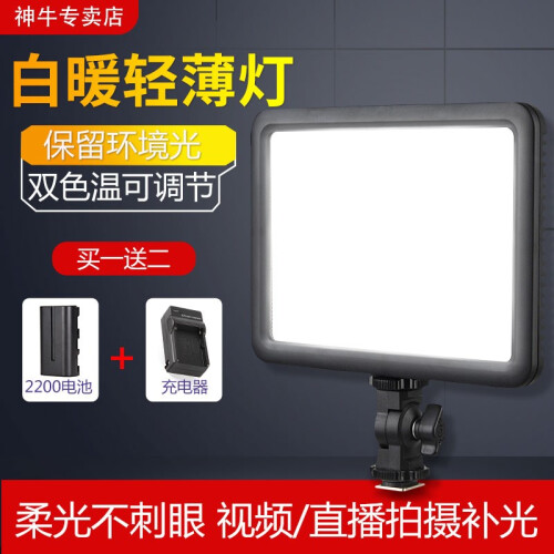 神牛（Godox）LED120C补光灯主播灯可调色温摄像灯摄影摄像LED平板柔灯单反相机录像灯 套餐A（LED灯+2200电池+充电器）