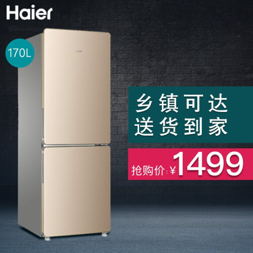 Haier/海尔双门三门两门小冰箱超薄变频风冷无霜/直冷定频小型迷你家用办公室节能电冰箱 170升双门两门无霜冰箱BCD-170WDPT