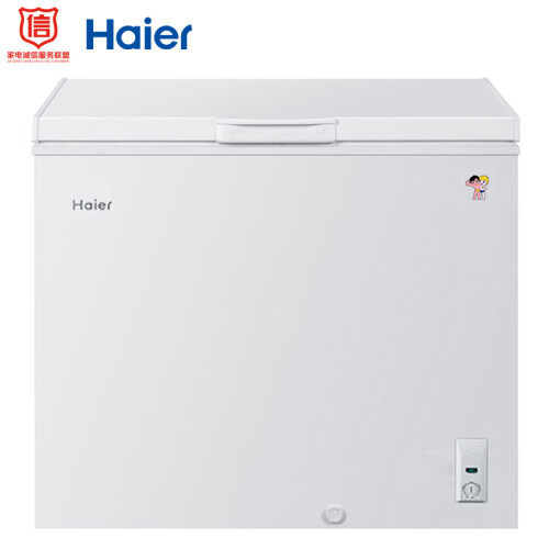 海尔（Haier） 202升家用冰柜 冷藏冷冻转换柜 冷柜 节能单温冰箱 BC/BD-202HT