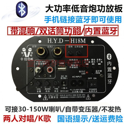 双话筒大功率蓝牙功放板12V24V220V低音炮功放板音箱主板车载家用