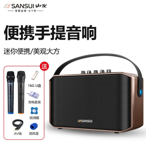 山水（SANSUI） SA1-05蓝牙音箱户外广场舞音响便携式手提移动插卡U盘教学教室低音炮播放器 双话筒套餐