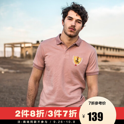AK男装2019新款轻复古飞虎绣花基本款短袖POLO衫男士全棉透气舒爽翻领T恤男1916202 灰粉色 L