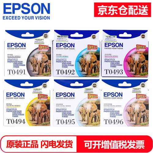 爱普生（EPSON） T0491黑色墨盒R210/R230/310/RX510/650 T0491-6（6色墨盒)